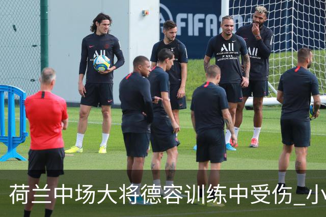 荷兰中场大将德容训练中受伤 小组赛次轮出战成疑